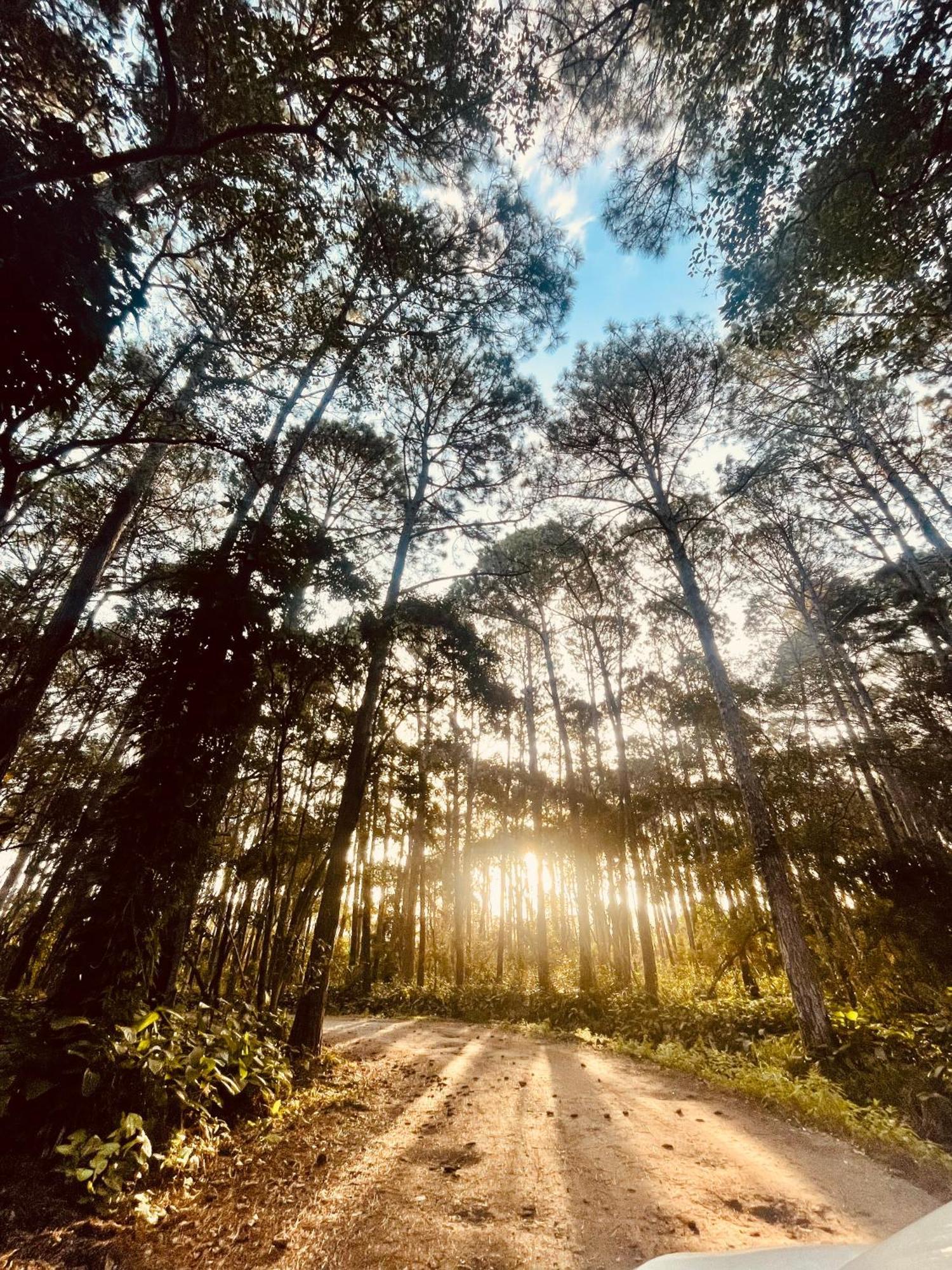 Florianópolis Pousada Ilha Dos Anjos酒店 外观 照片